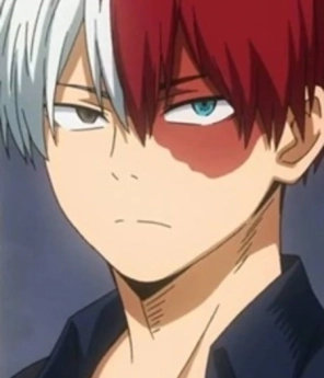 შოტო ტოდოროკი